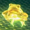 金色のカエル
